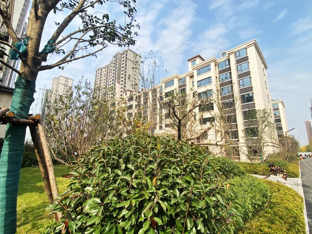 被市场深刻教育的开封购房者们，是否真的还有明天？