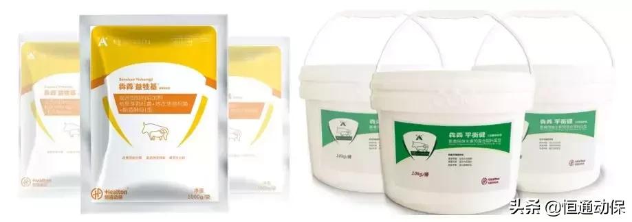 怎么预防牛瘤胃积食,怎么预防瘤胃臌气