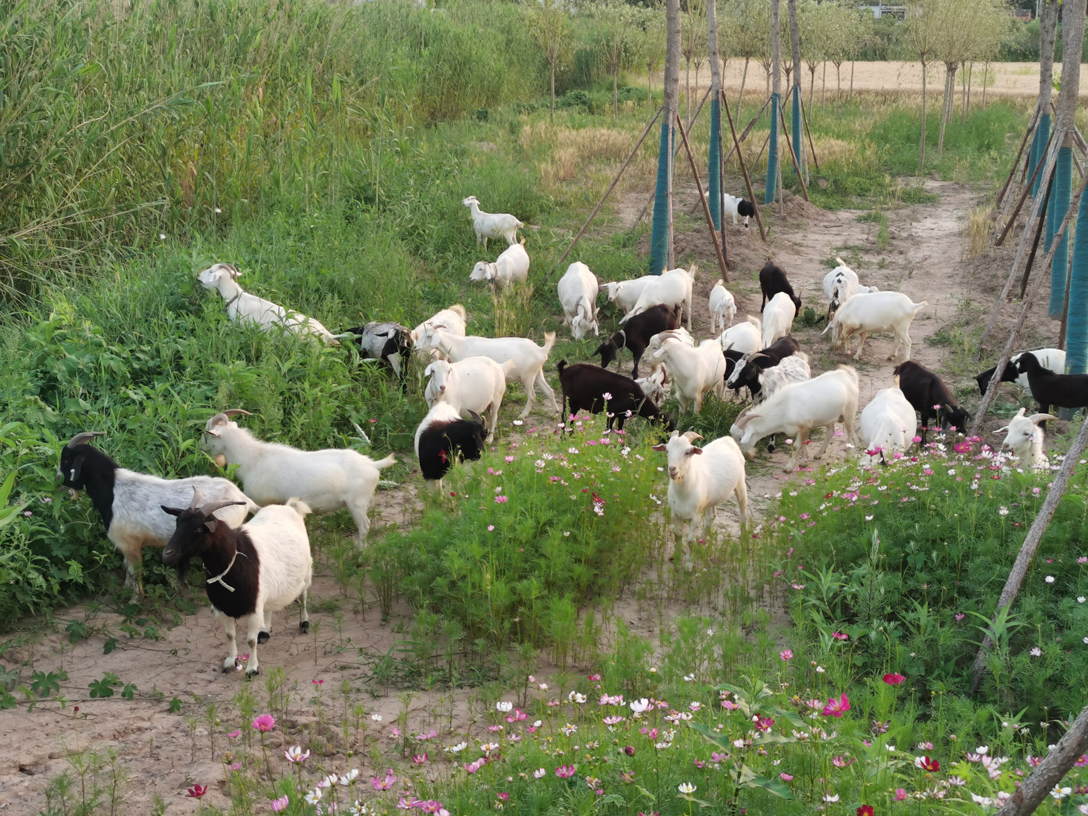曾经的脏乱差变成了现在的新景观,从面目全非到焕然一新