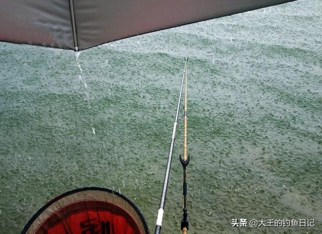 下雨天是不是很好钓鱼,下雨天好钓鱼