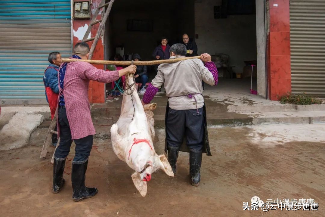 四川岳池黄龙水库,岳池黄龙杨家沟水库