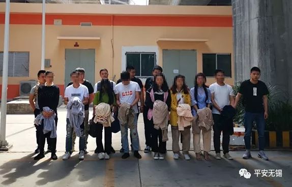 微信卖酒女诈骗被抓,净网2019集资诈骗案例