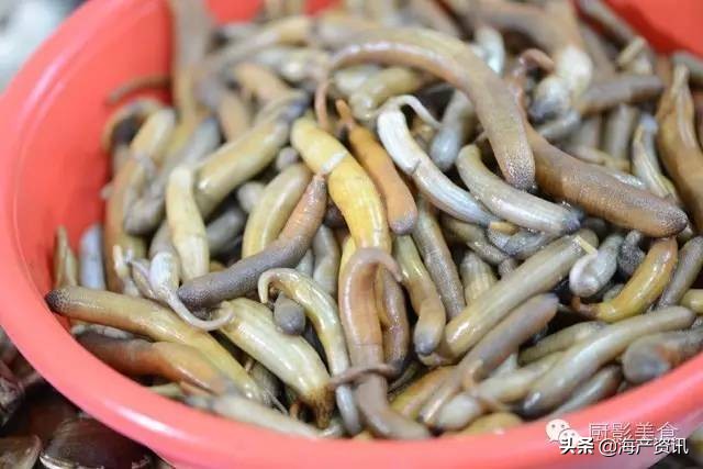 全世界顶级的4种海鲜,世界十大名贵海鲜