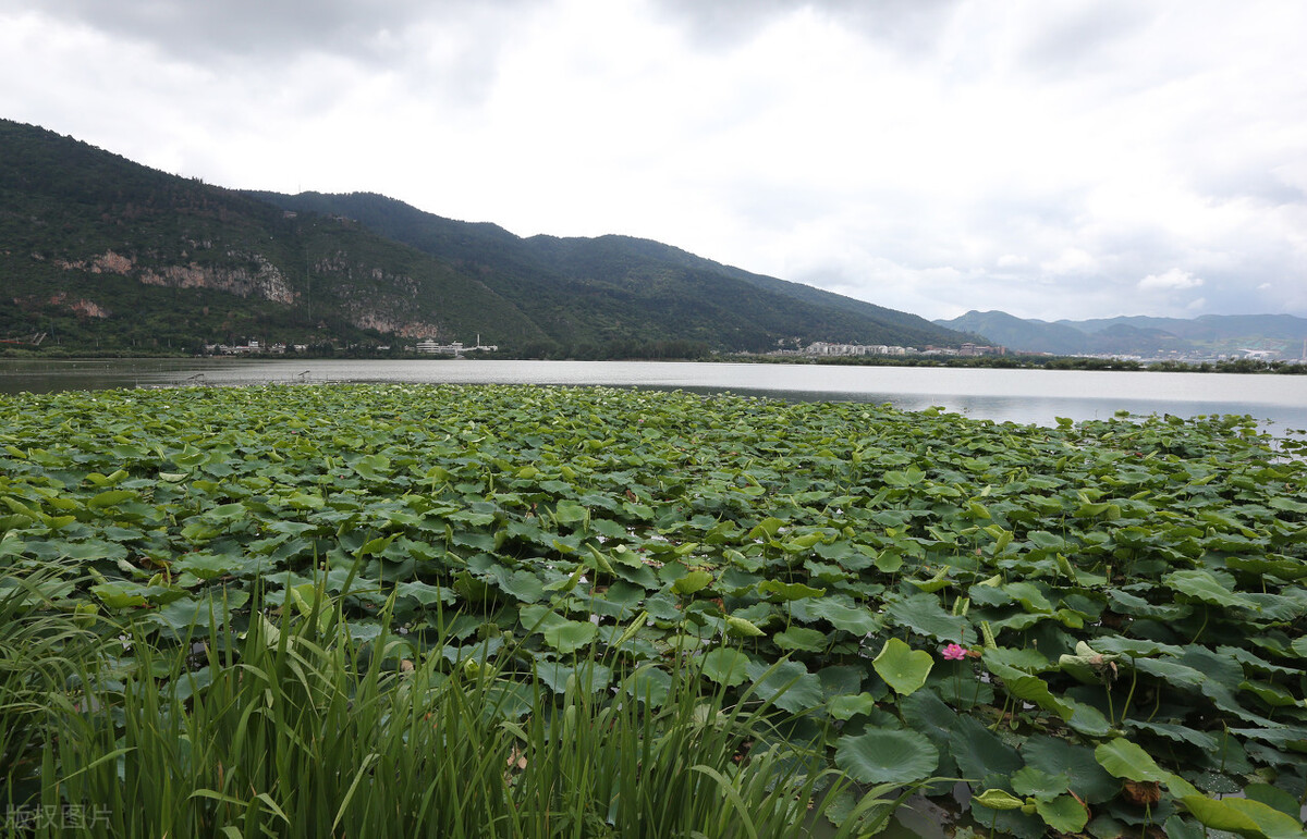 云南有哪些旅游景点分别在哪个市,云南西双版纳旅游景点攻略自由行