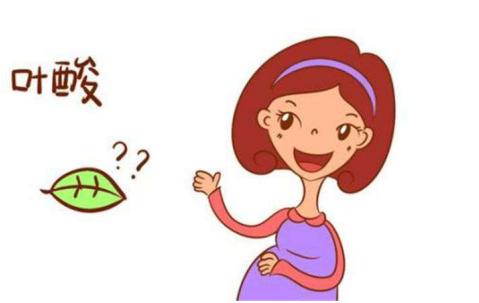 已经怀孕了备孕没吃叶酸怎么办,备孕期间有没有必要喝叶酸