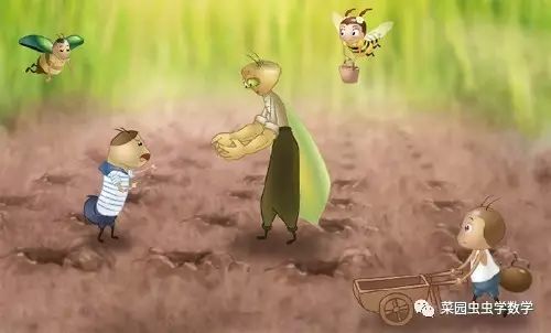 菜园虫虫学数学：种豆苗（植树问题）