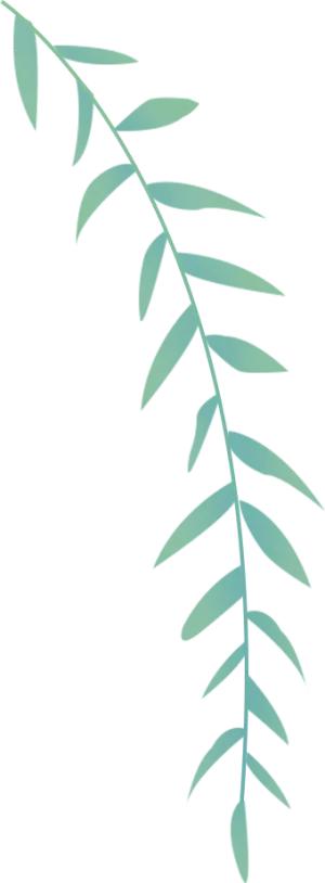 春分万物平分春色,春分是什么样的春天