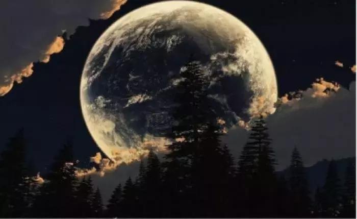 今日春分正是人间好时节,春分小常识每日分享