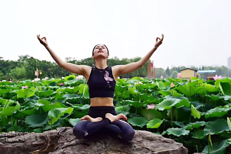 洛阳中国国花园荷花,洛阳国花园的荷花