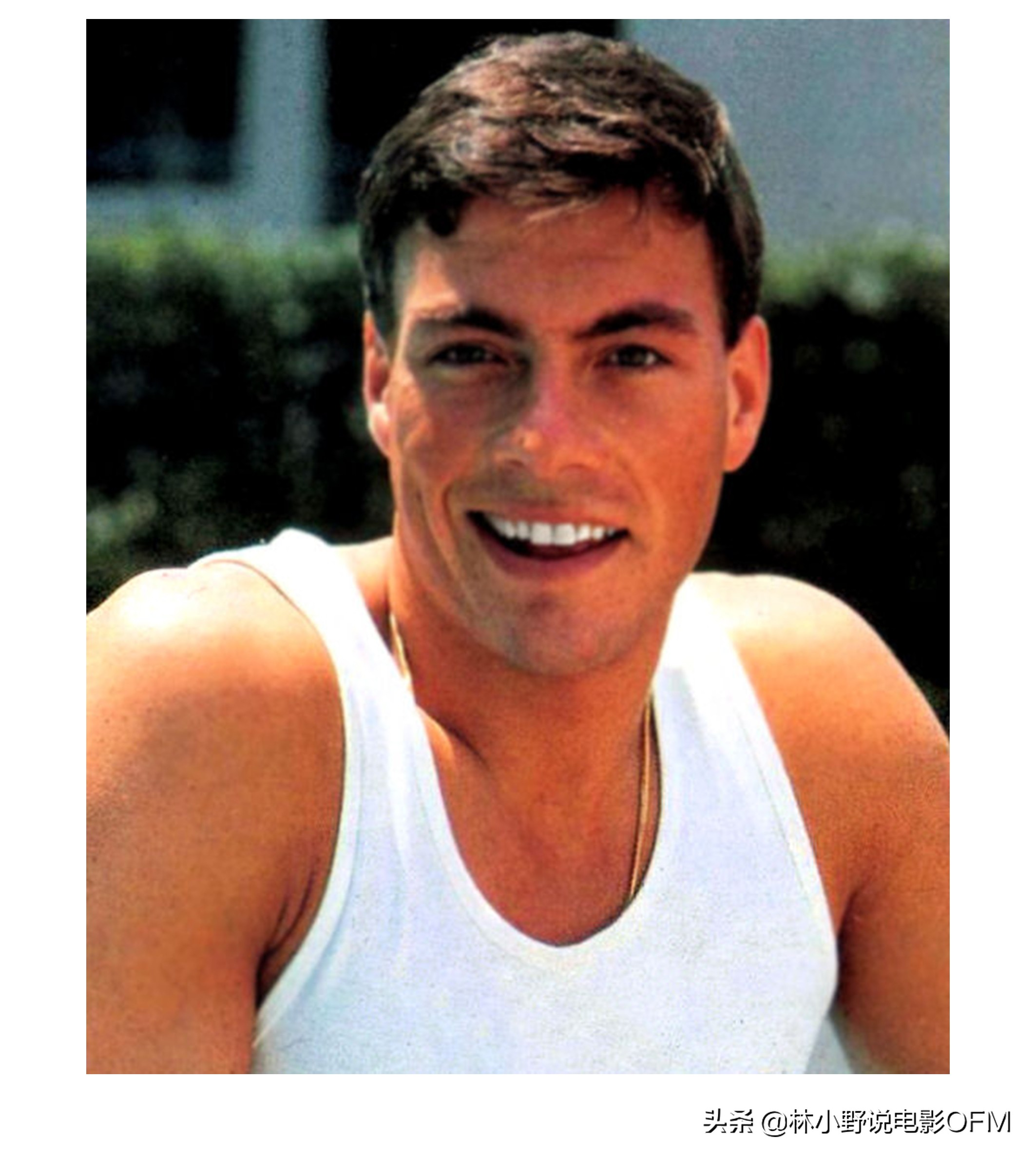 好莱坞动作巨星,强森好莱坞片酬