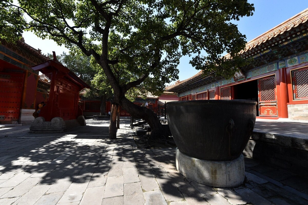 孝庄太后为什么把董鄂妃移出皇陵,为什么孝庄太后扔董鄂妃衣服