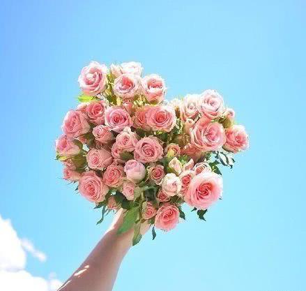 很有深意的阳光励志句子,致不甘平庸的你!