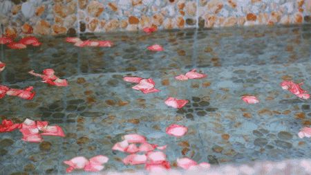 苏州乐园四季恒温水乐园预约,苏州乐园四季悦水游村