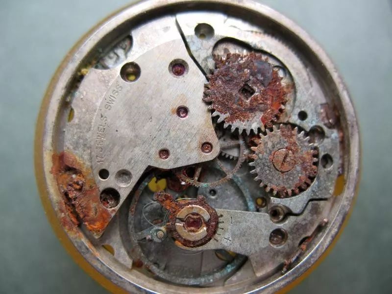 手表进水最快解决方法不用拆开,手表进水要怎么办最快最有效