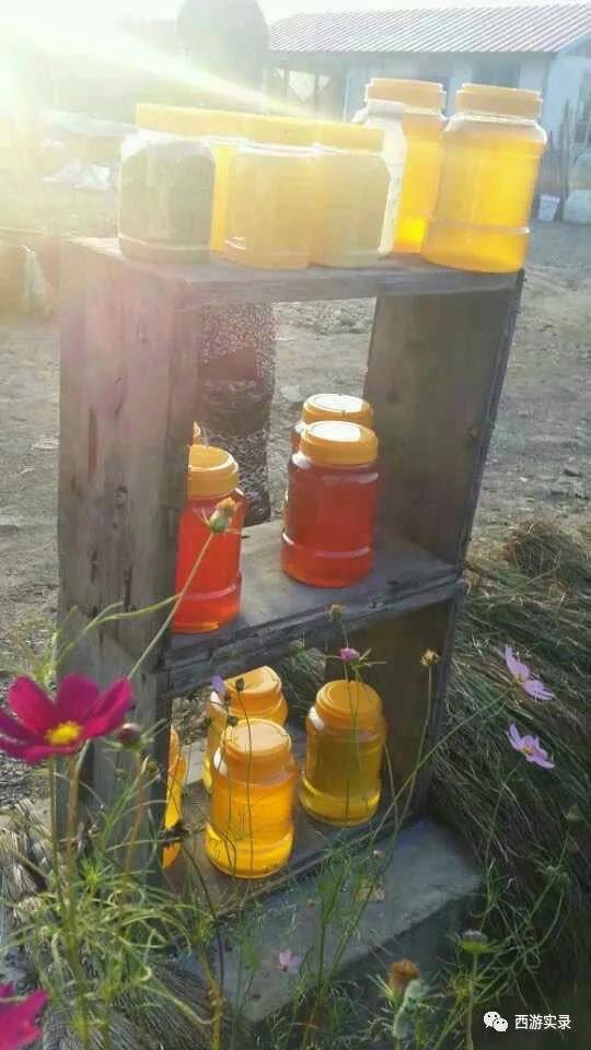 自驾环游世界第一人,一次连续跨越五大洲20万公里吉尼斯世界纪录