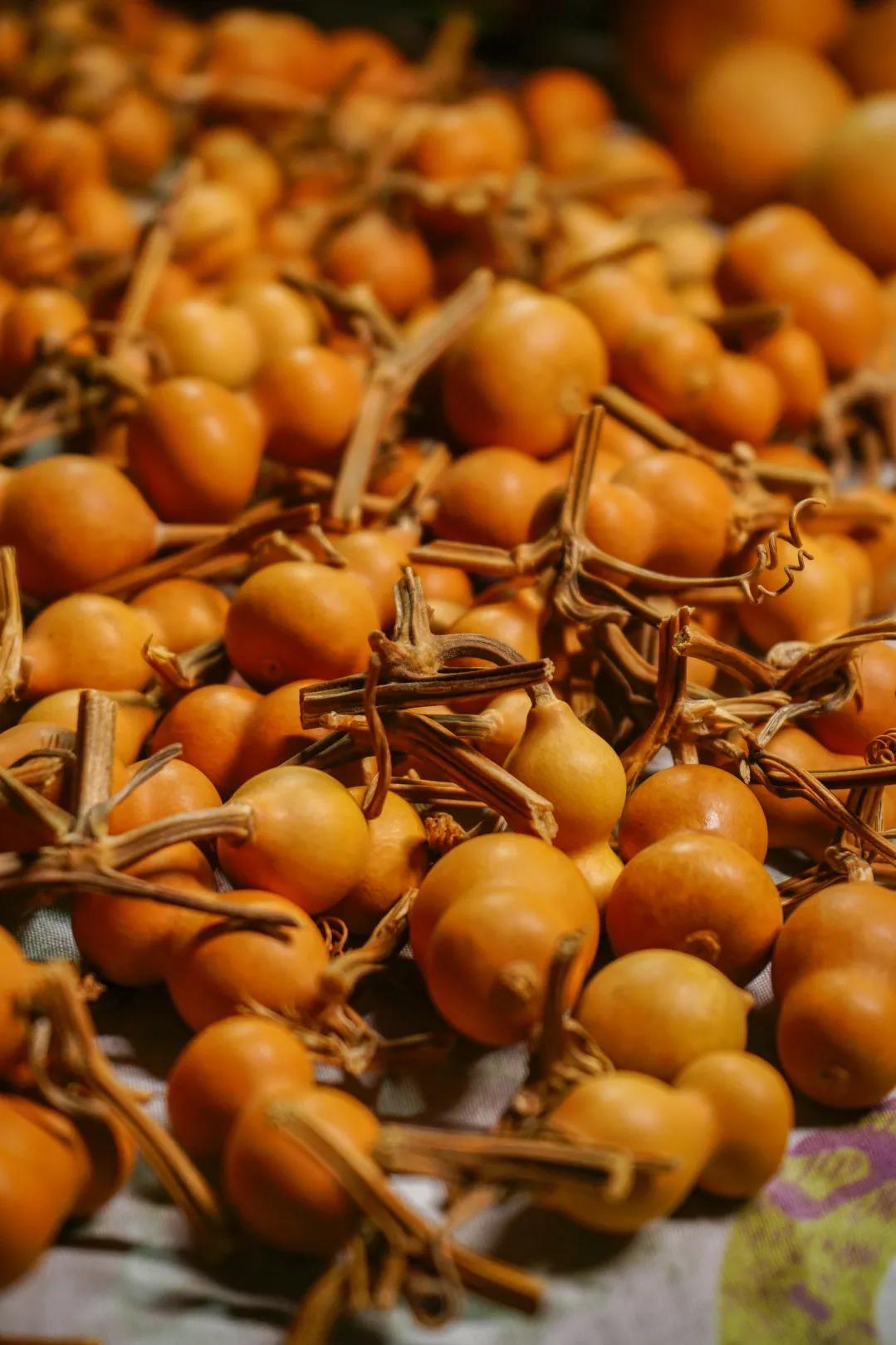 潘家园被骗能不能报警,潘家园实话实说