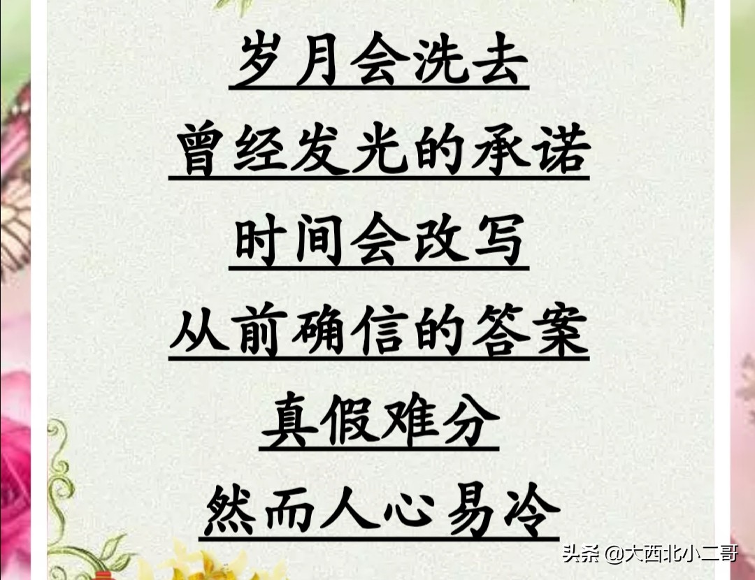 我的生活相册作文,生活相册制作