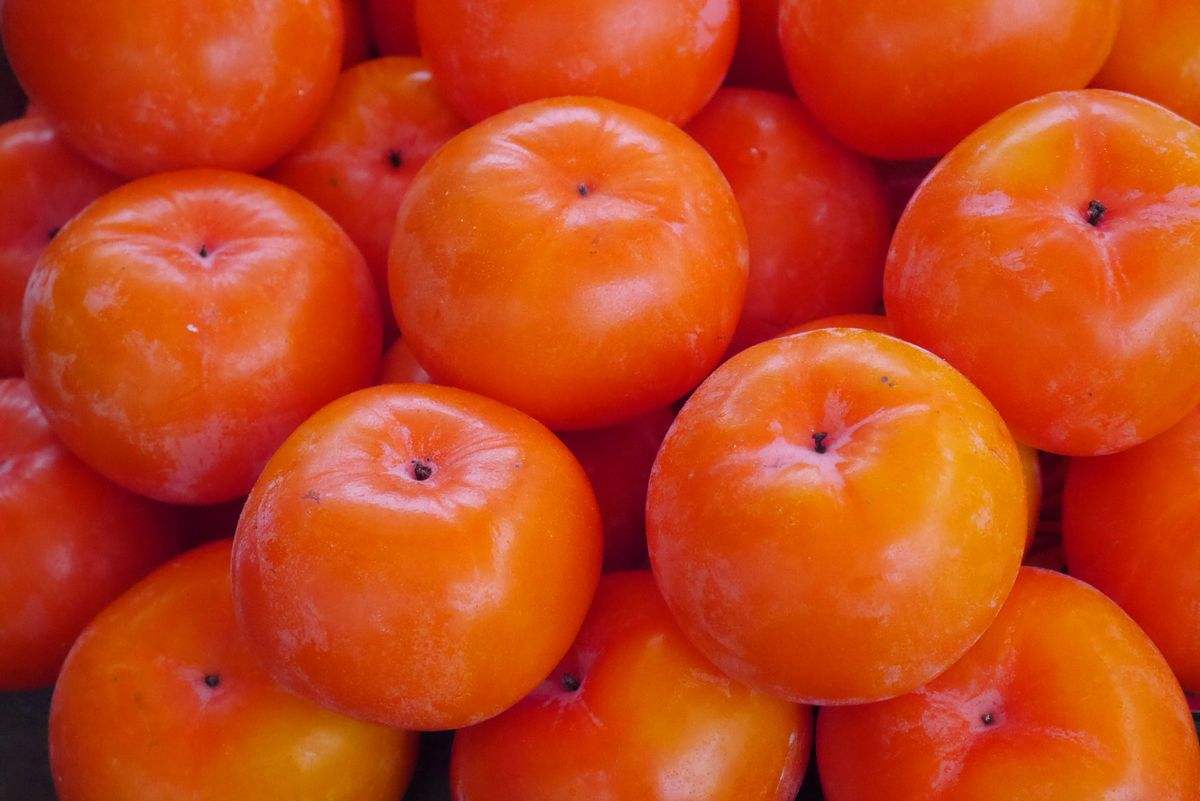 怀孕吃什么水果好胎儿皮肤白,怀孕吃什么水果胎儿长得漂亮