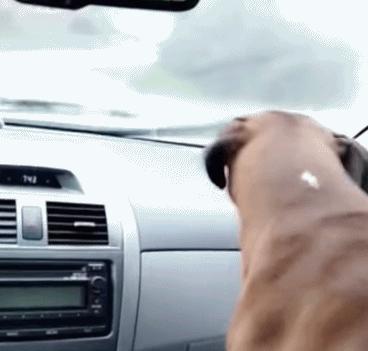 素材大佬常用的素材在哪里找,大神们都在用什么软件找素材