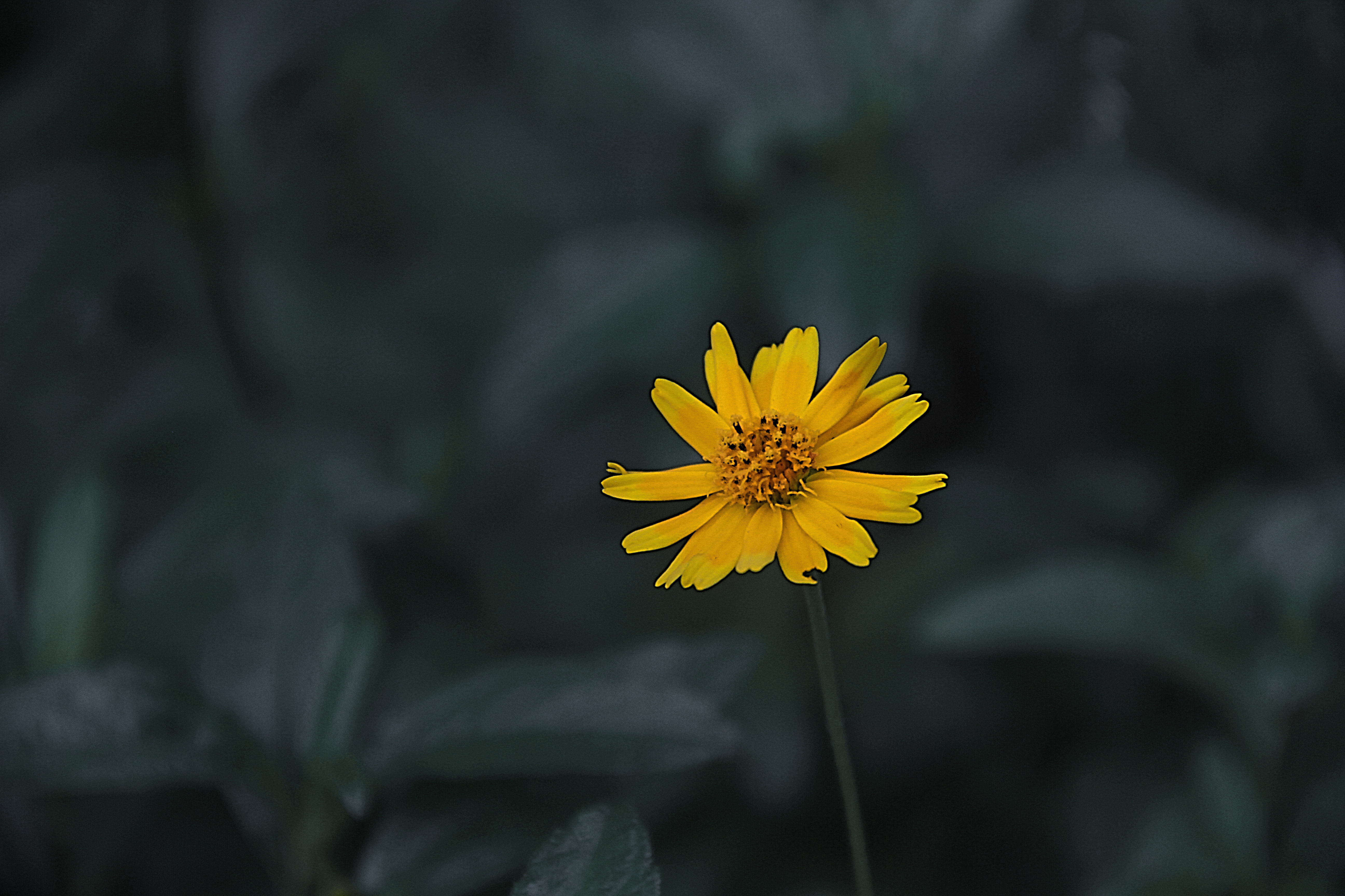 拍摄怎么设置镜头比例,镜头焦段的选择技巧