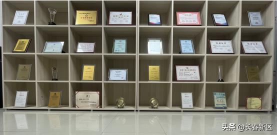 长春新区重点企业巡礼——吉林省卓越科技有限公司：技术助力为用户提供全生命周期信息化服务和保障