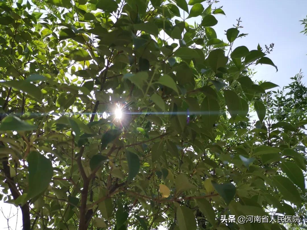 防晒霜spf和fps的区别,防晒霜spfp