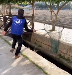 狗狗脑袋比身体大，以为是被蜜蜂蛰了，近看才发现