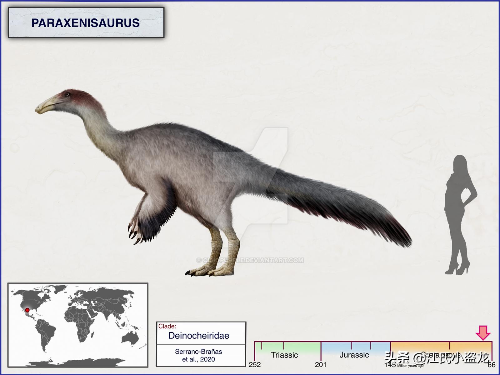 古生物学家发现恐龙新物种,古生物专家介绍侏罗纪