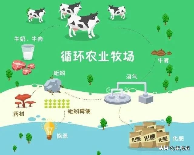 大学生回乡创业对乡村振兴的影响,青年回乡创业助力乡村振兴