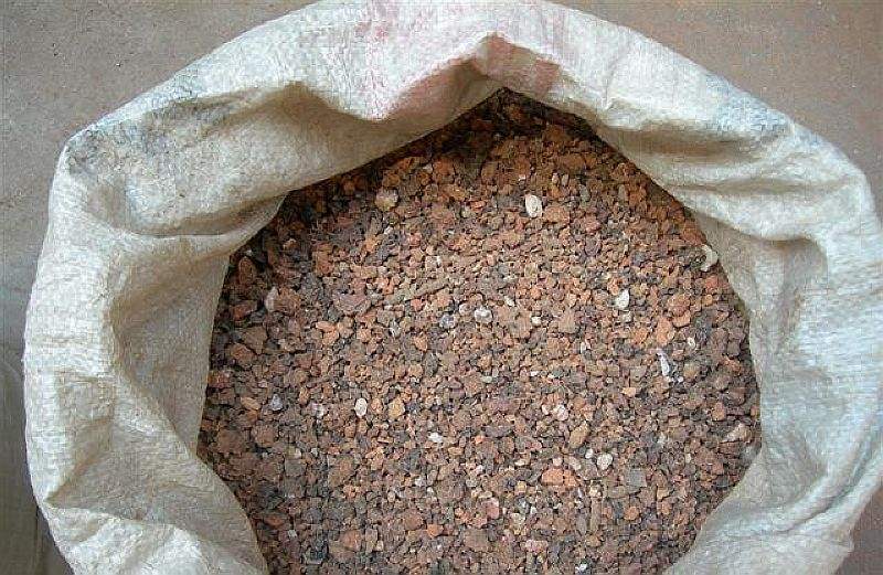 多肉爱长草怎么办,多肉爱火怎么养