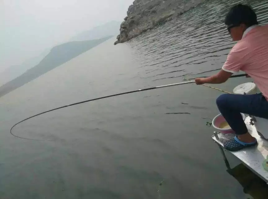 饵料测试,饵料与小药的搭配