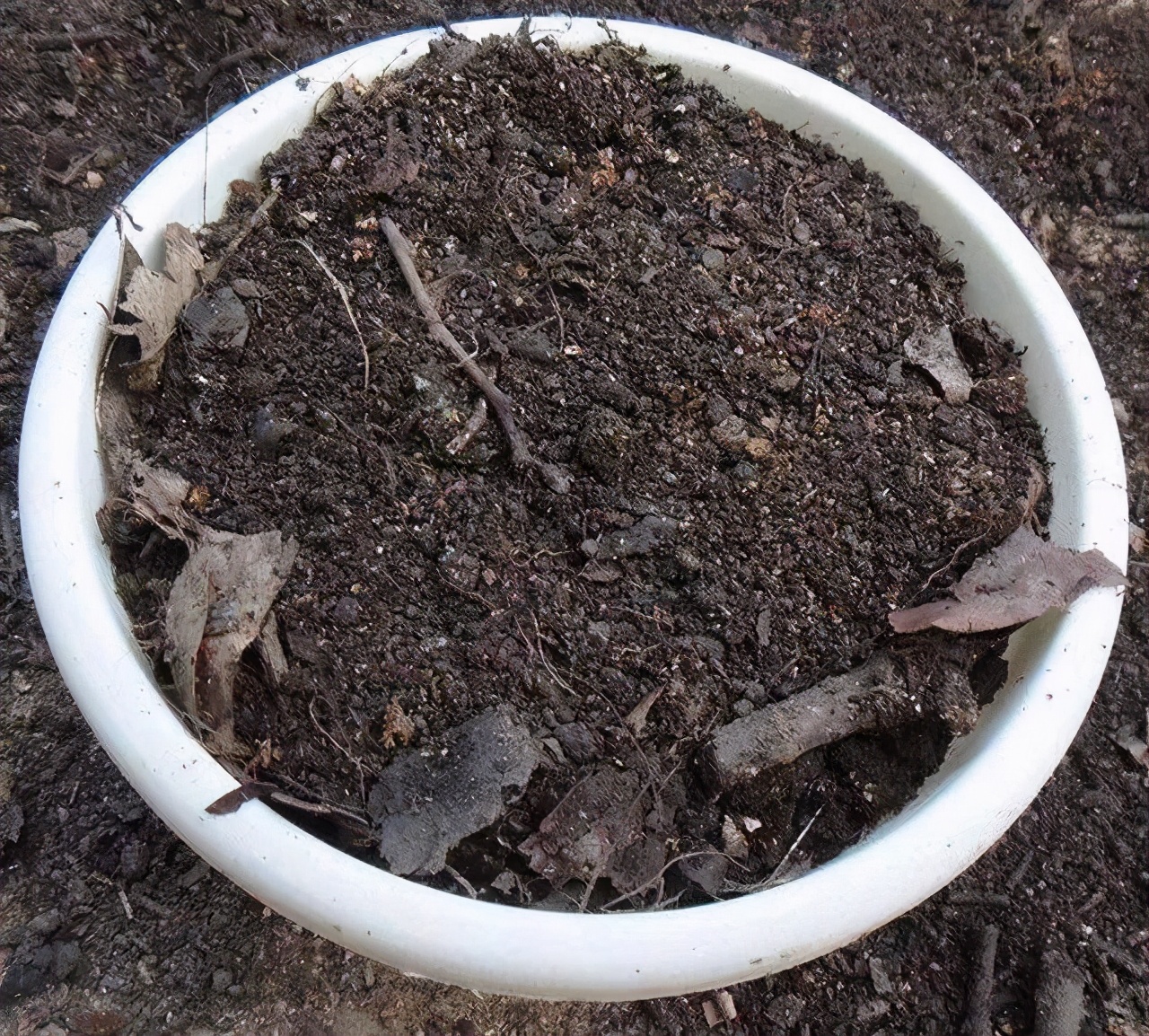 花肥自制有机肥,养花自制花肥