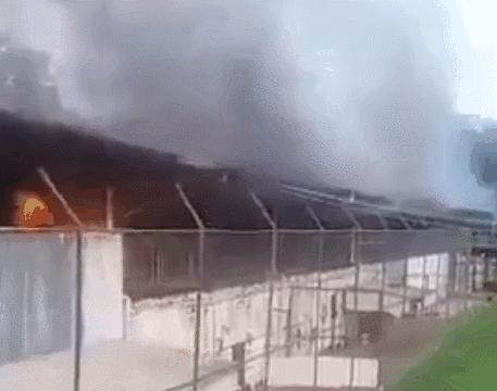 巴西监狱里的囚犯,巴西监狱的囚犯