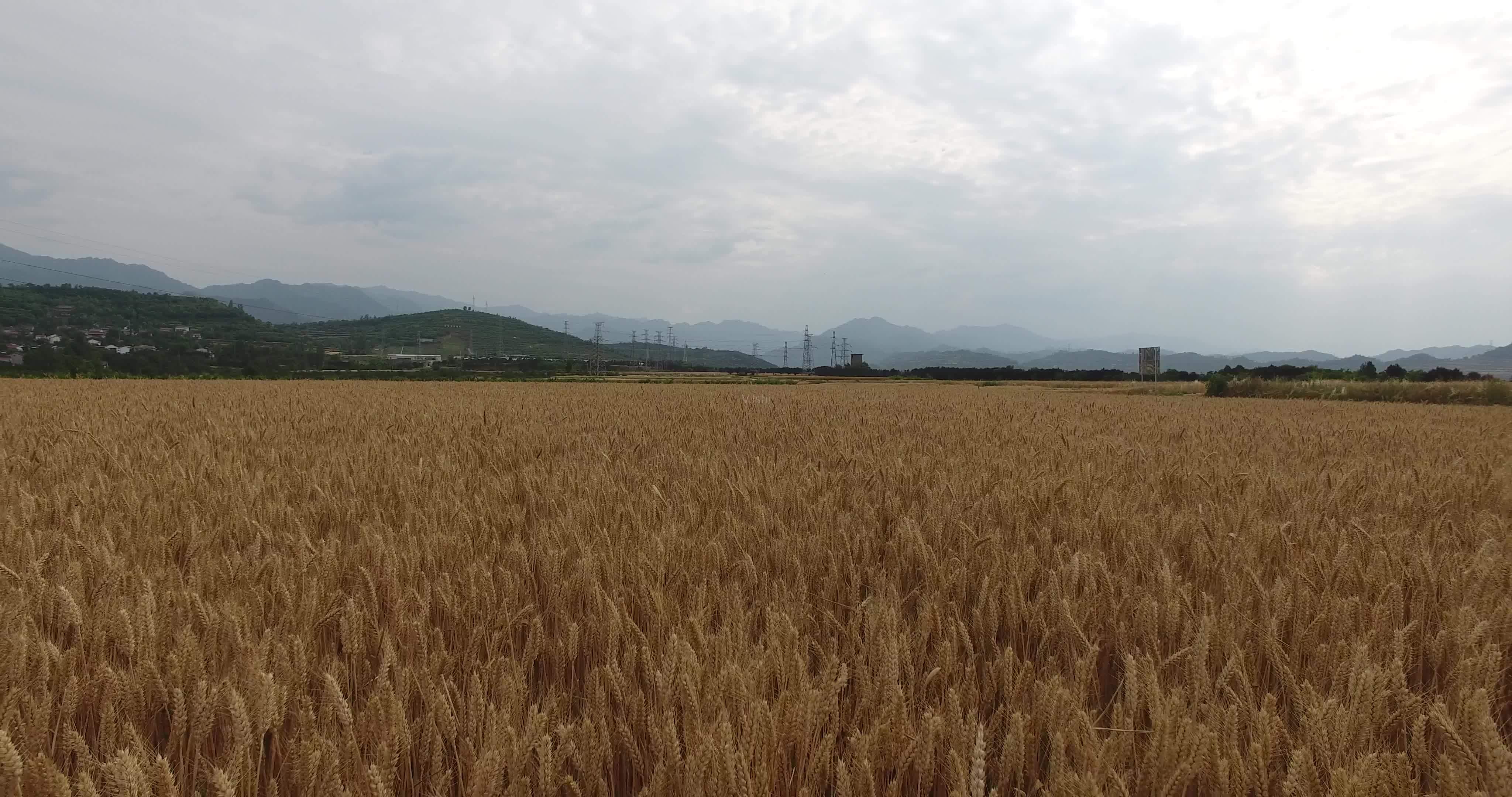 保定吴建臣杀人案纪实第二集,保定连环杀手吴建臣案图片