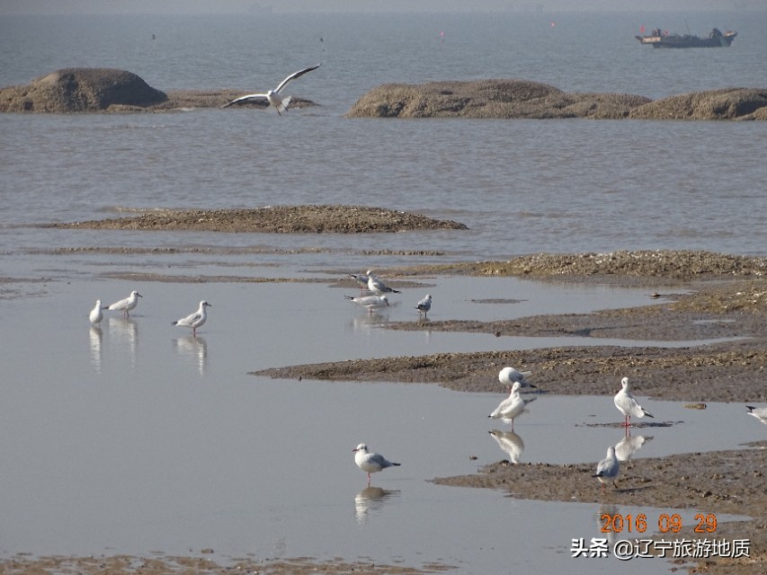 营口黄金海岸沙滩,营口北海海滩攻略