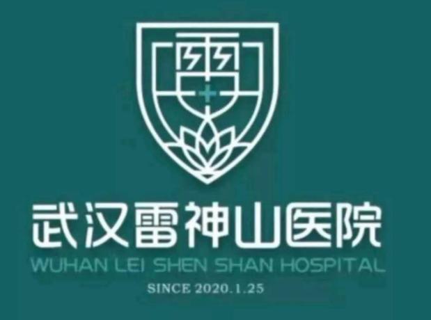 武汉火神山医院logo,雷神山和火神山医院标志设计