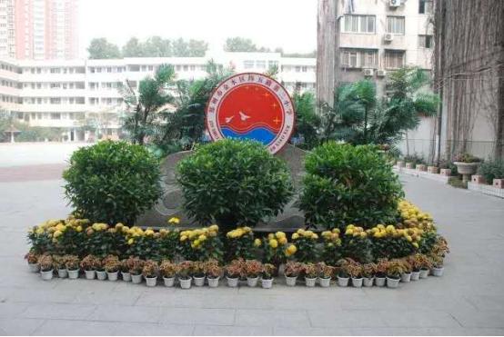 郑州所有公办小学学校有哪些,郑州市金水区小学教育排名