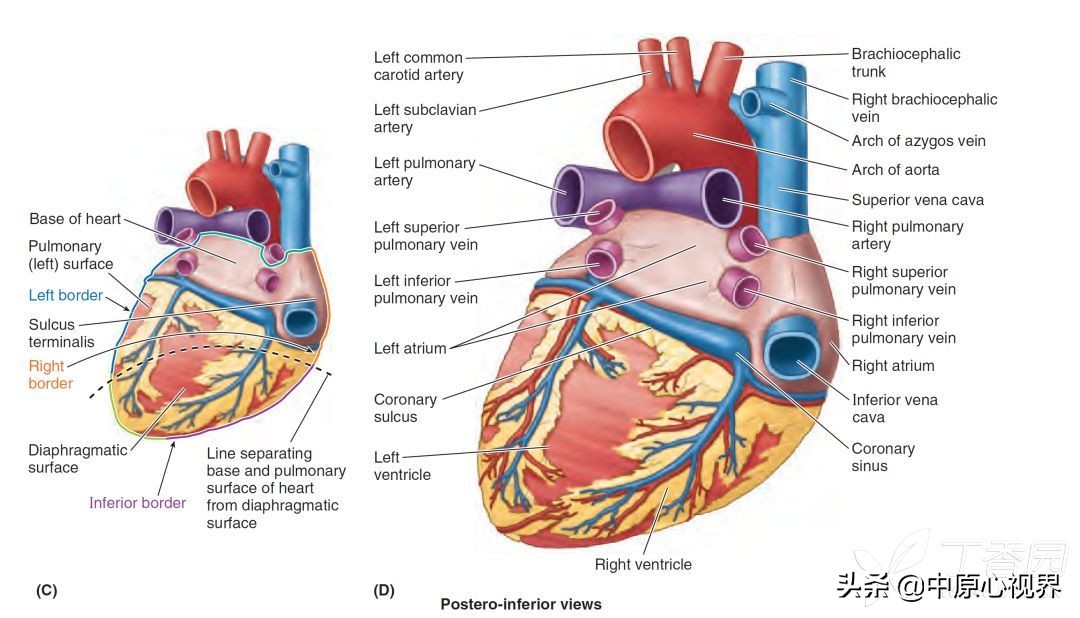 蹇冭剰瑙ｅ墫瀹為獙,蹇冭剰瑙ｅ墫鎵嬫湳