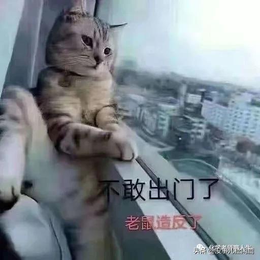 宅在家没意思,宅在家里适合做什么有趣的事