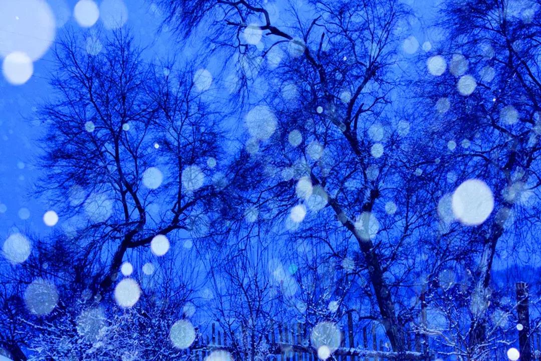 十一冰雪乐园,玩转冰雪冬季尽享冰雪嘉年华