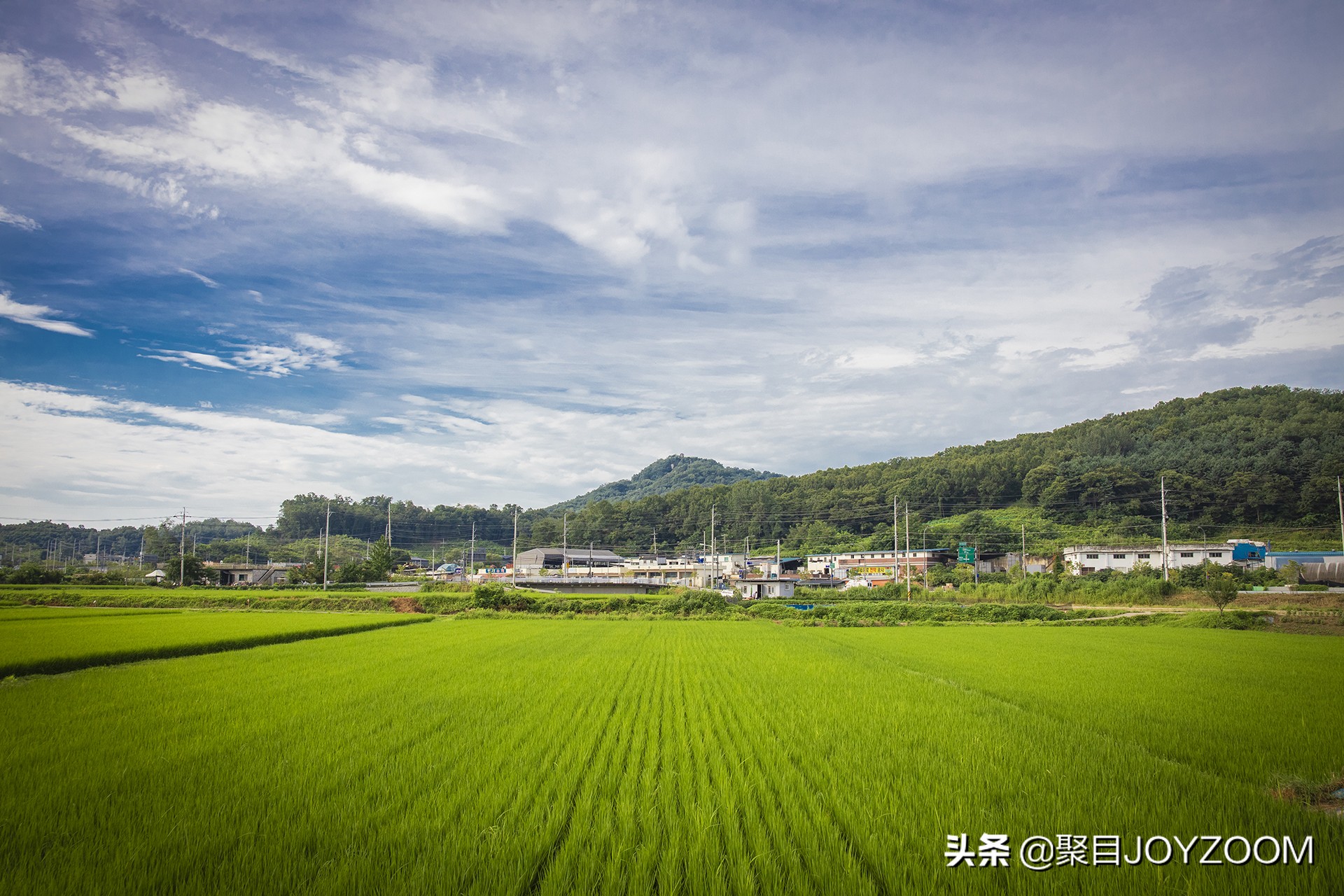 佳能28-70f2.8一代镜头值得购买吗,佳能rf28-70mmf2镜头测评