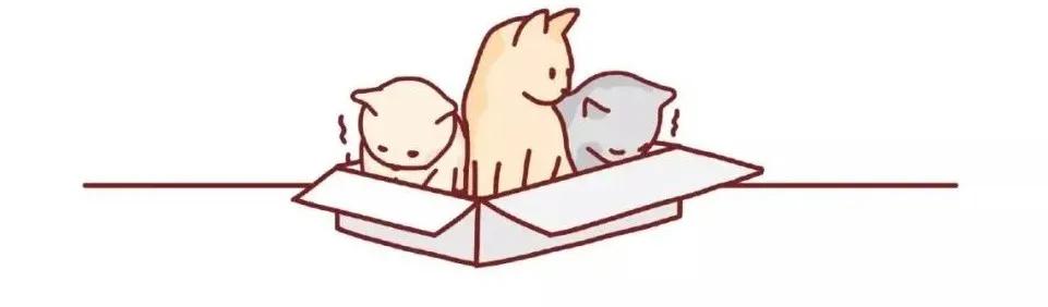 遇到流浪猫该如何科学救助？这篇救助手册里全有了