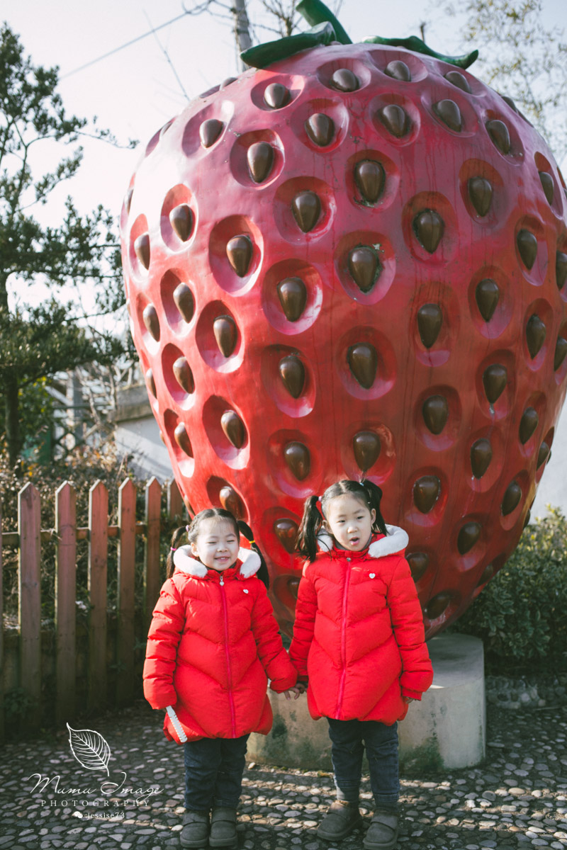 几百亩草莓采摘基地，无销售，不够卖，老板：绿色天然无公害
