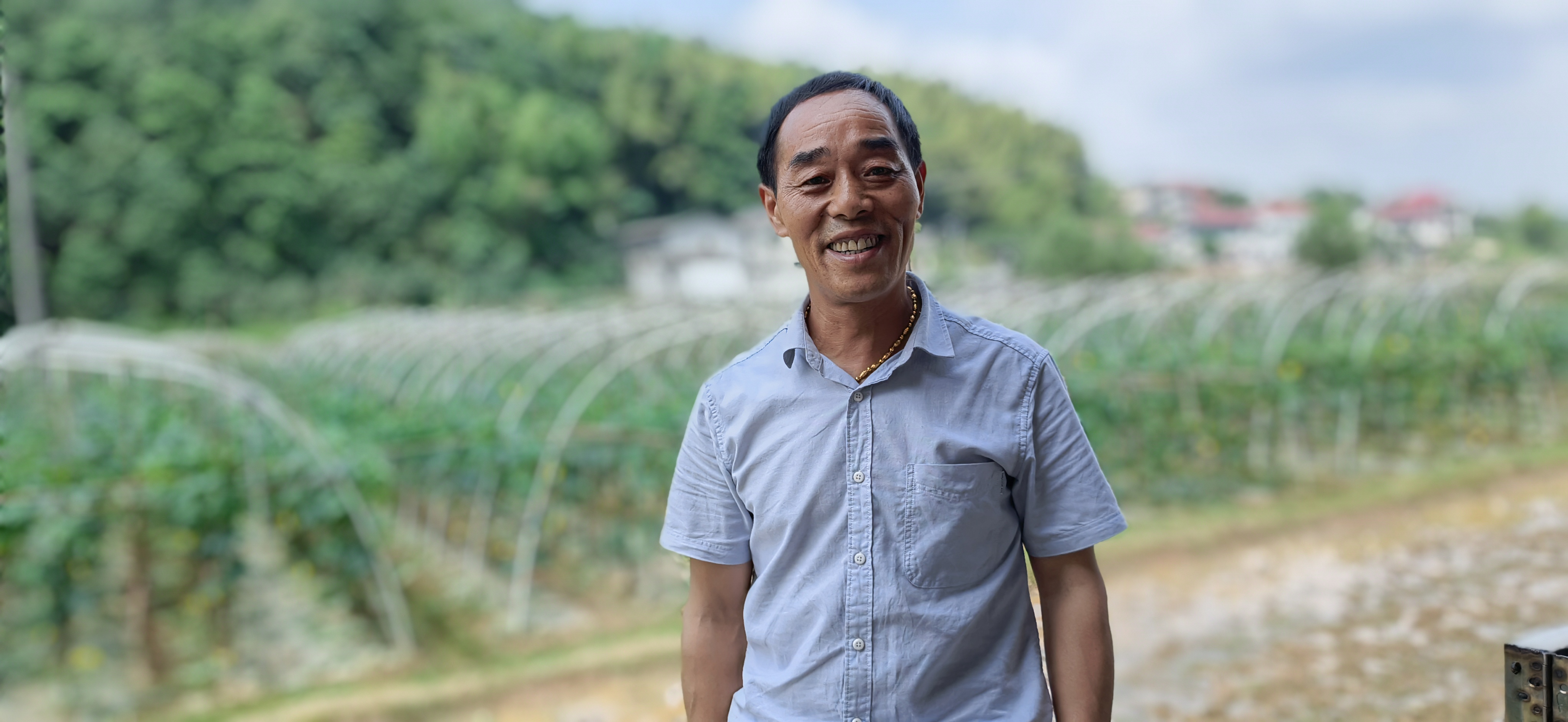 丝瓜创业致富,白关镇白丝瓜种植