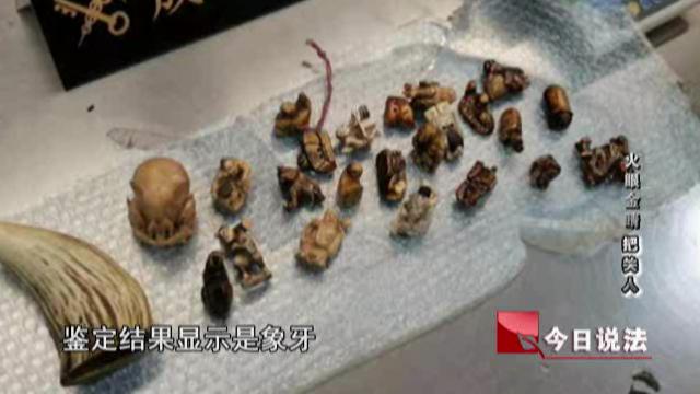 【今日说法】他对妈妈说自己在做海外代购，却不让妈妈知道自己的代购涉嫌犯罪……