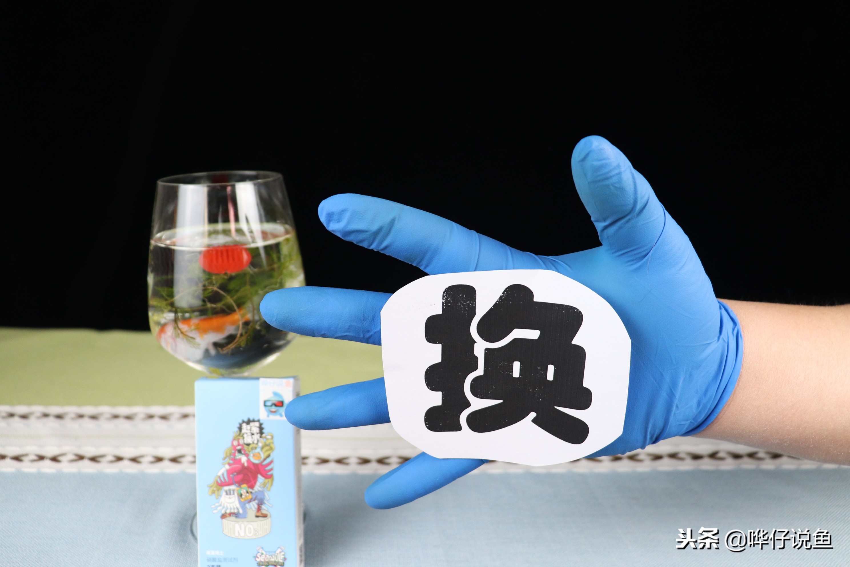 三个月不换水鱼能活吗,几个月不换水的鱼缸不长藻类