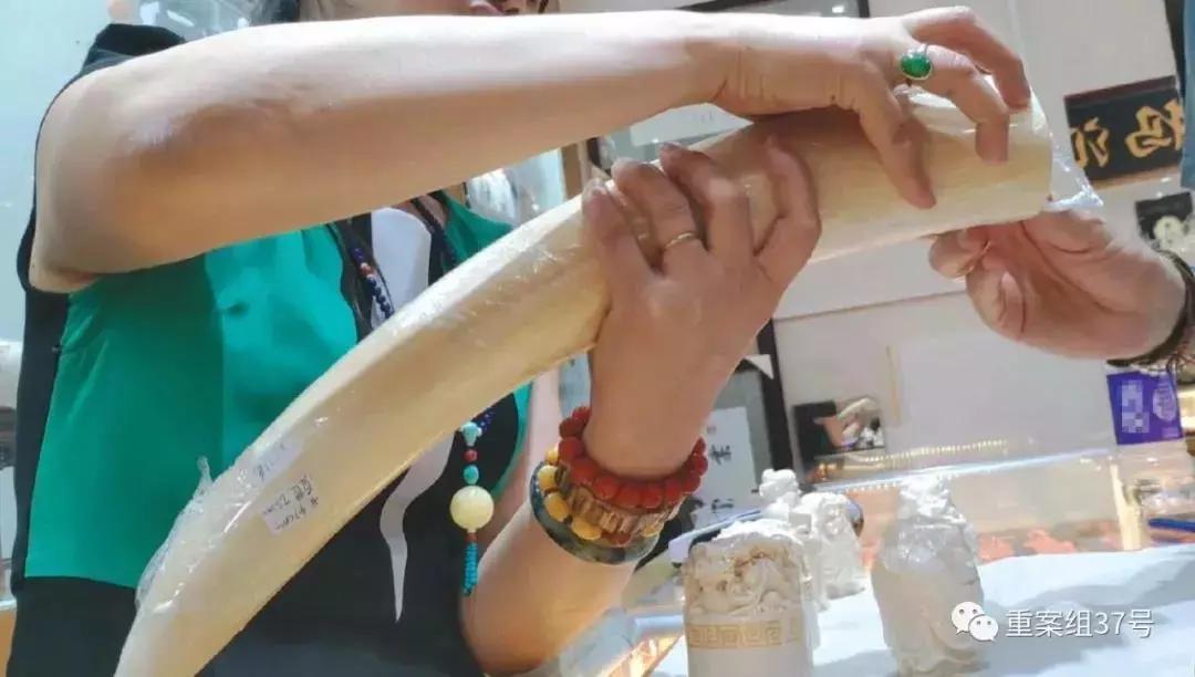 带象牙入境被查,象牙入境被海关抓