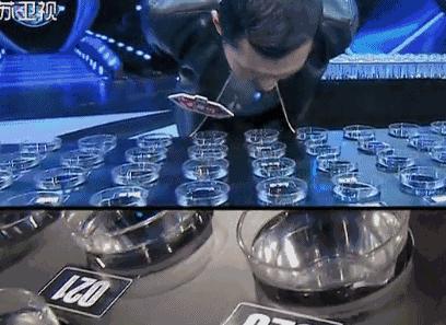 王昱珩不上班做到财富自由,最强大脑王昱珩清华毕业后不上班