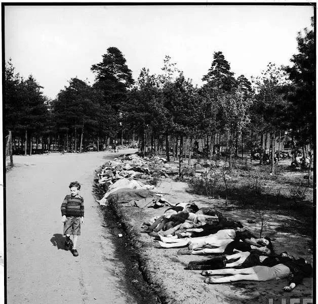 被欧洲人尊为圣母的中国女人,中国女人在欧洲被尊为圣母