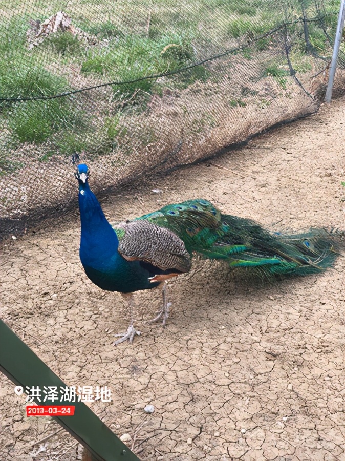 浅谈全国34个省级区域之华东篇：江苏省—宿迁市